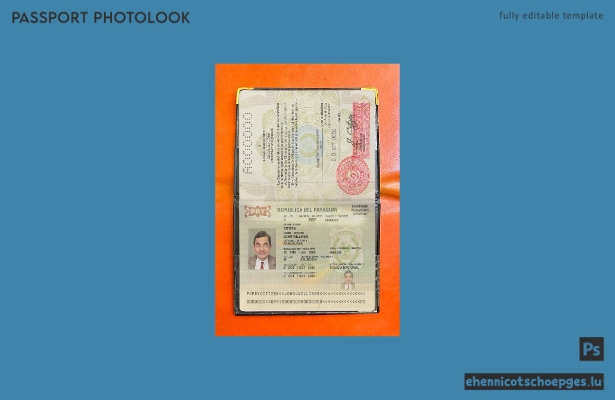 Beispielansicht eines Passfotos für Paraguay